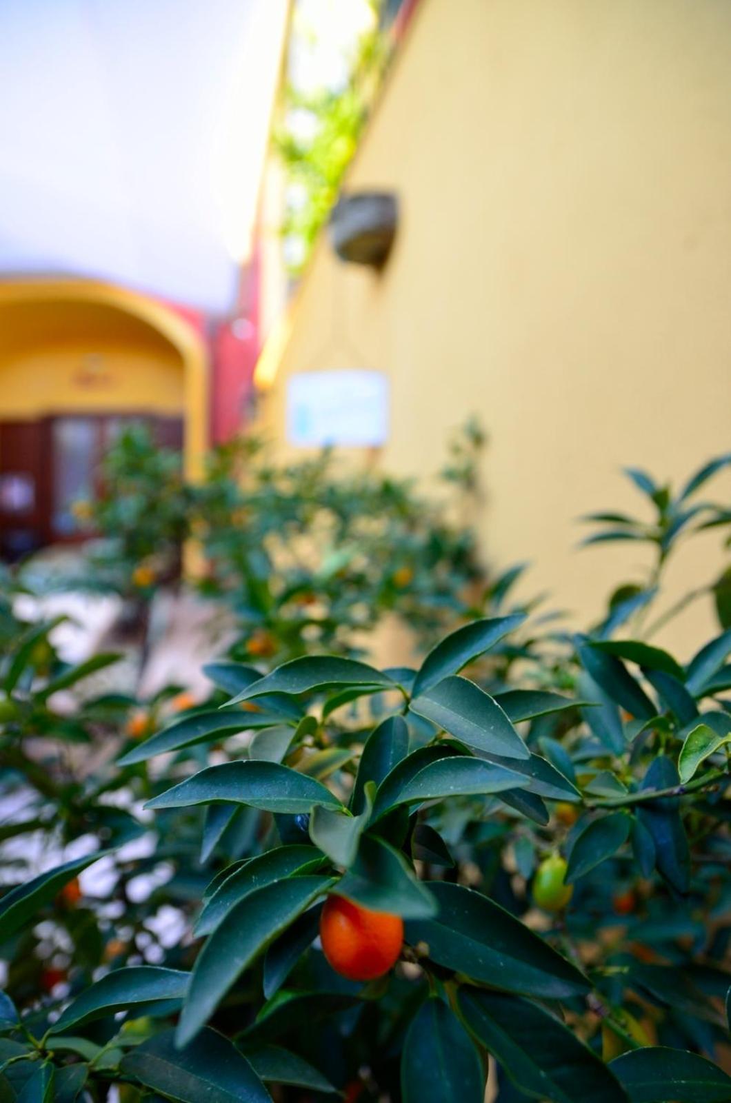 Manouche Affittacamere Osteria Caserta Exterior photo